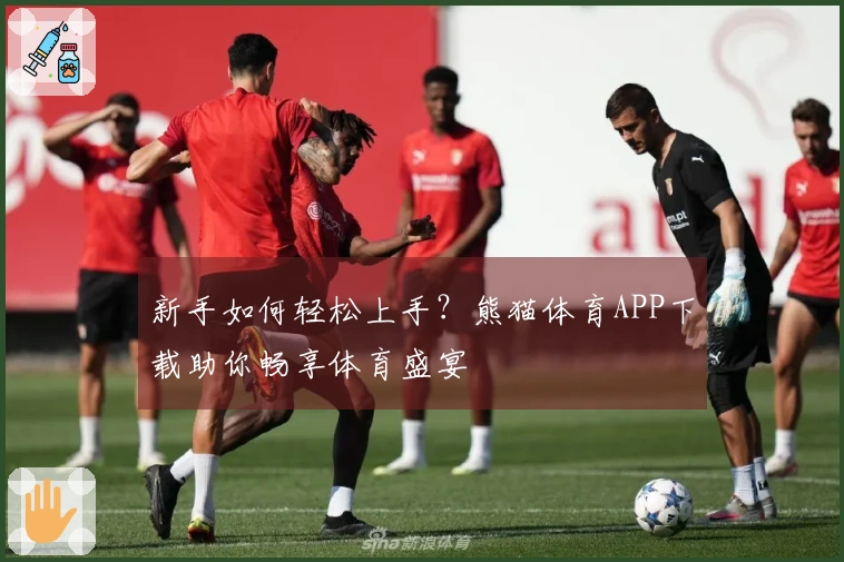 新手如何轻松上手？熊猫体育APP下载助你畅享体育盛宴