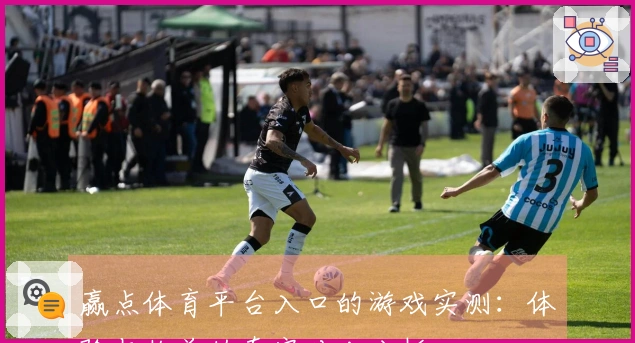 赢点体育平台入口的游戏实测：体验与收益的真实对比分析