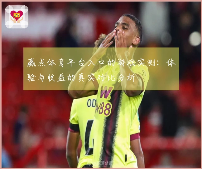 赢点体育平台入口的游戏实测：体验与收益的真实对比分析
