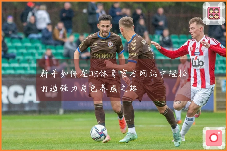 新手如何在ng体育官方网站中轻松打造强力角色养成之路